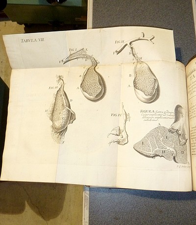 Historia Hepatica, Seu Theoria ac Praxis omnium Morborum Hepatis, & Bilis, eum ejusdem Visceris Anatome pluribus in partibus novâ : adjectis Dissertationibus...(2 volumes, 1725)