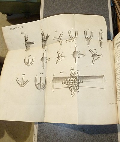 Historia Hepatica, Seu Theoria ac Praxis omnium Morborum Hepatis, & Bilis, eum ejusdem Visceris Anatome pluribus in partibus novâ : adjectis Dissertationibus...(2 volumes, 1725)