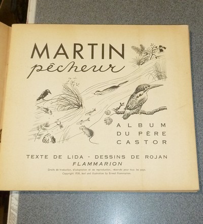 Martin pêcheur
