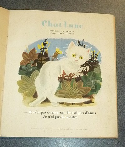 Chat lune