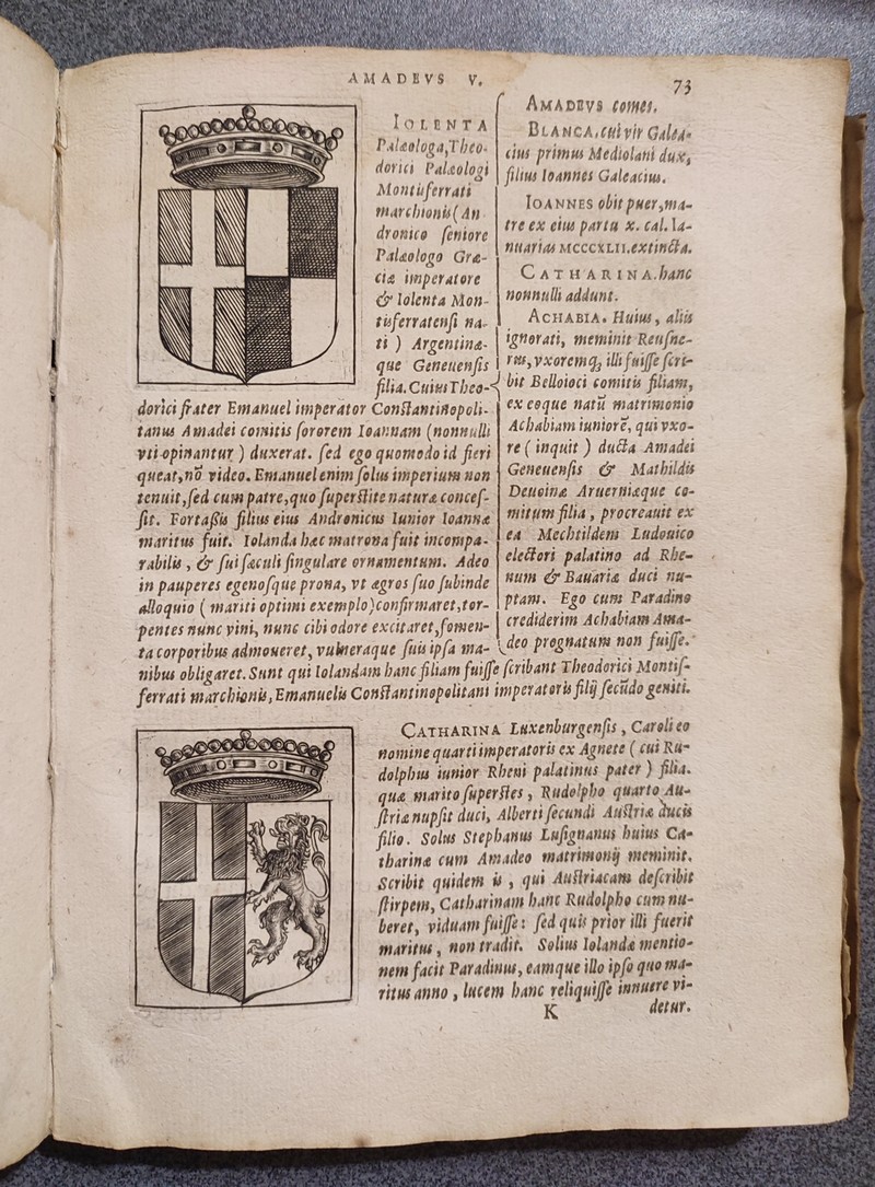 Sabaudorum ducum principumq Historiae gentilitiae libri duo (1599)