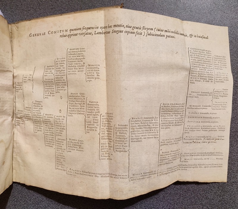 Sabaudorum ducum principumq Historiae gentilitiae libri duo (1599)