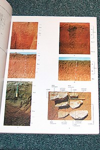 Les sols à profil calcaire différencié des plaines de la basse Moulouya (Maroc oriental)