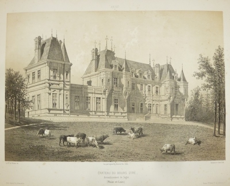 Château du Bourg d'Iré, arrondissement de Segré (Maine et Loire) (Lithographie)