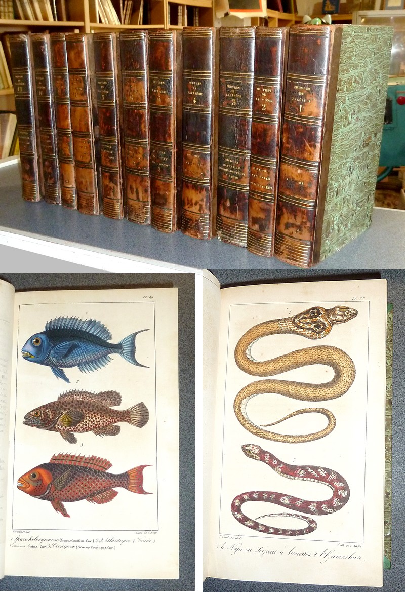 Oeuvres du Comte de Lacépède (11 Volumes, complet et 189 planches aquarellées gommées) - Lacépède, Comte de