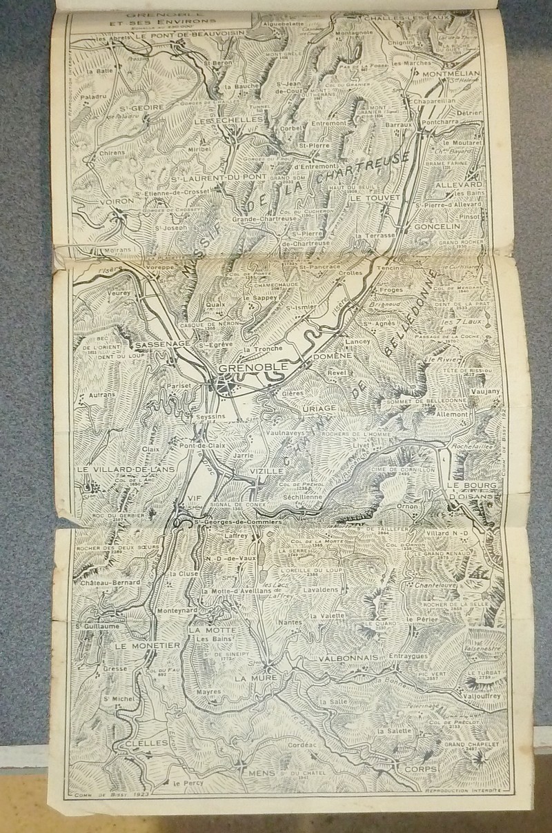 Guides Bricet 1924. Les Alpes, Lyon, Dauphiné, Savoie, Genève, Route des Alpes