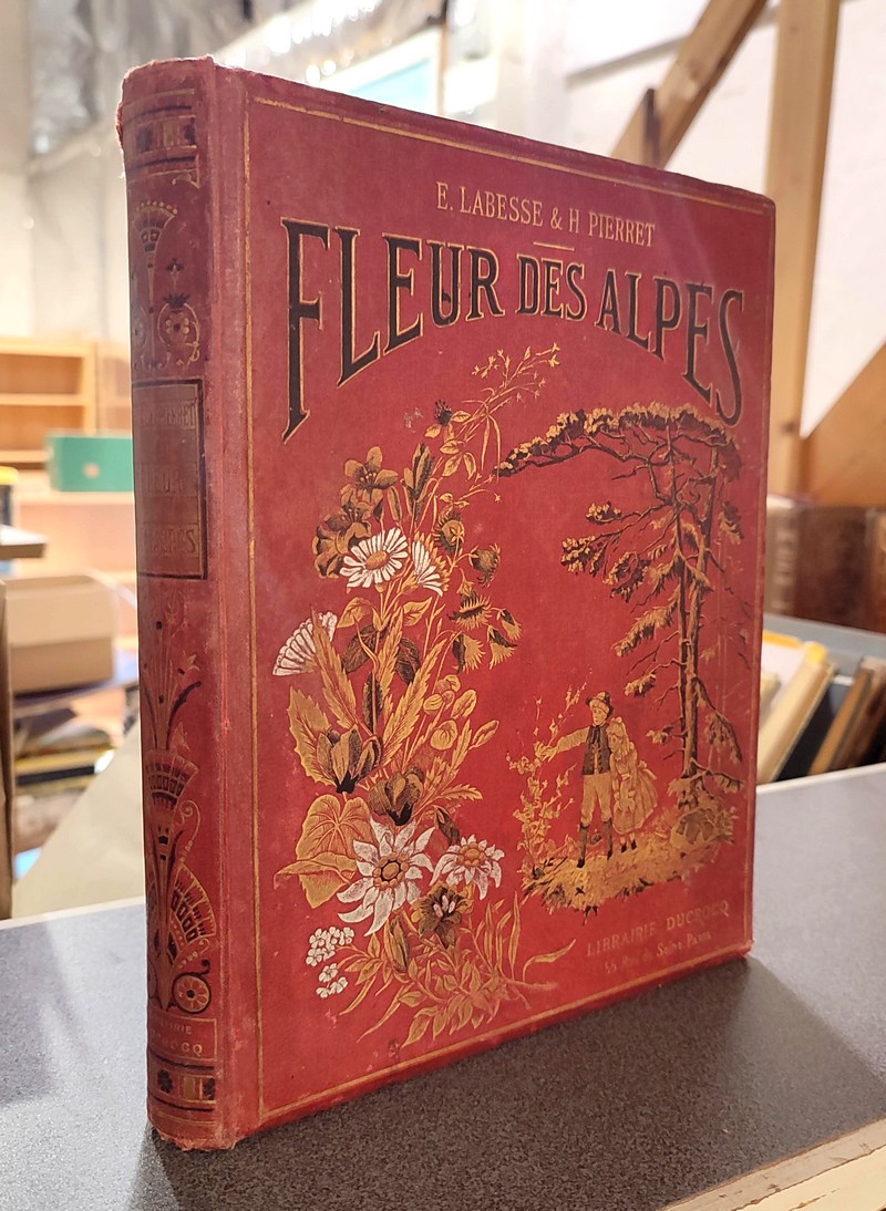 Fleur des Alpes (Savoie) - Labesse, Ed.-D. & Pierret, H.