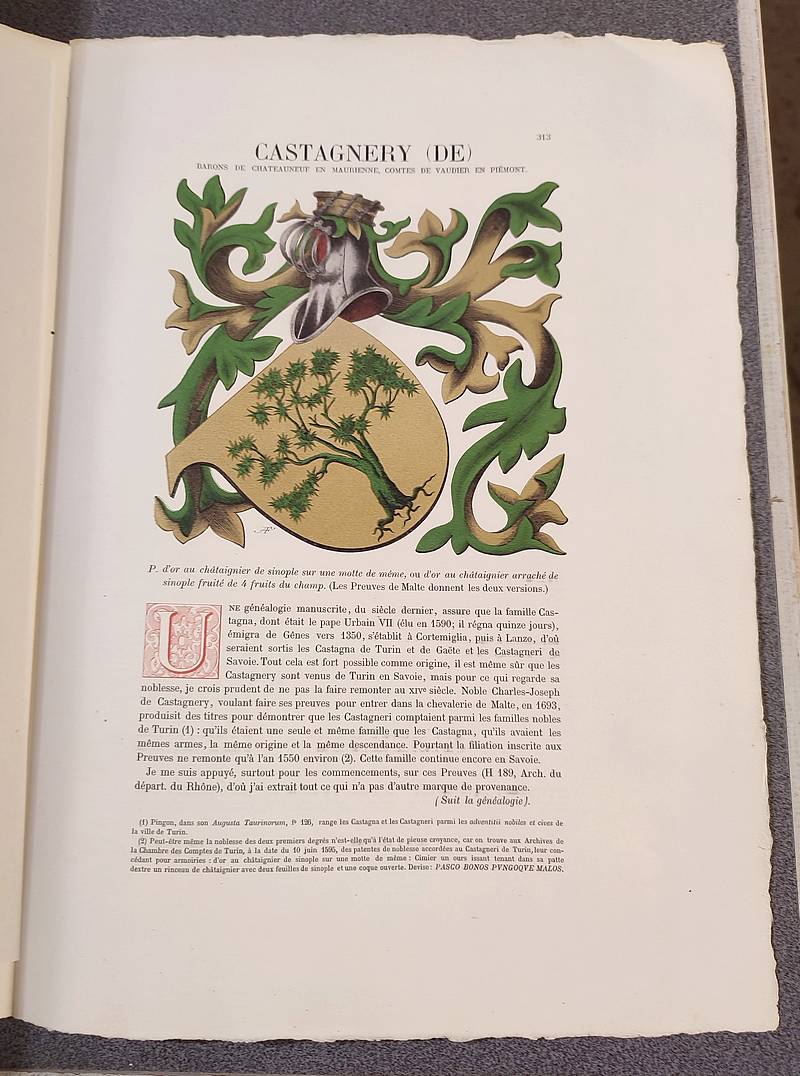 livre ancien - Armorial et Nobiliaire de l'Ancien Duché de Savoie (Tome I - livraison 19) - Foras, Le Cte E. Amédée de