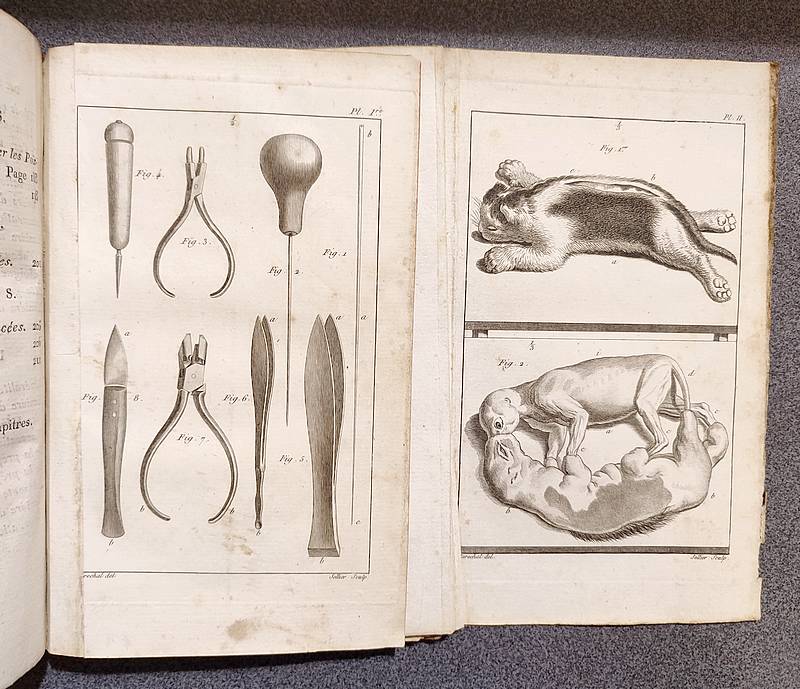 Méthode de préparer et conserver les animaux de toutes les classes pour les cabinets d'histoire naturelle - Nicolas, P. F.