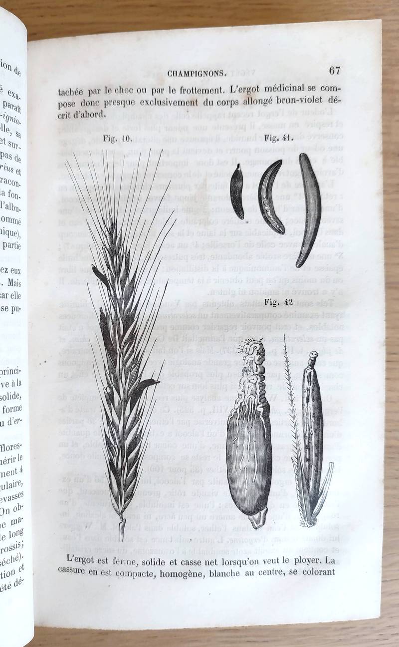 Histoire naturelle des Drogues simples (4 volumes) ou cours d'histoire naturelle professé à l'école de Pharmacie de Paris