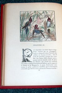 Autour d'une volière, oiseaux de France & oiseaux exotiques